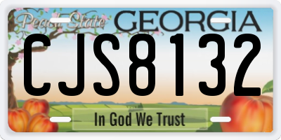 GA license plate CJS8132