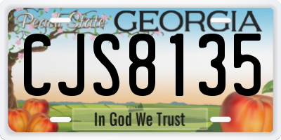 GA license plate CJS8135