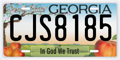 GA license plate CJS8185