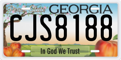 GA license plate CJS8188