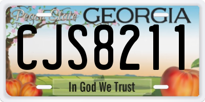 GA license plate CJS8211