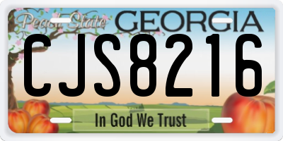 GA license plate CJS8216