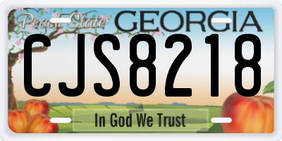 GA license plate CJS8218