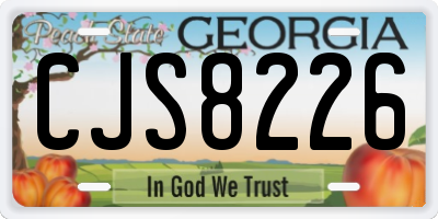 GA license plate CJS8226