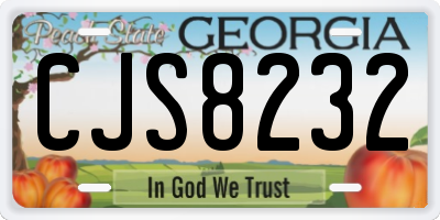 GA license plate CJS8232
