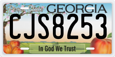 GA license plate CJS8253