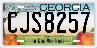 GA license plate CJS8257