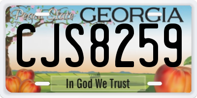GA license plate CJS8259