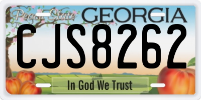 GA license plate CJS8262