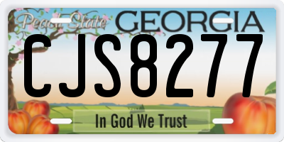 GA license plate CJS8277