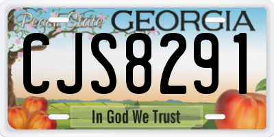 GA license plate CJS8291