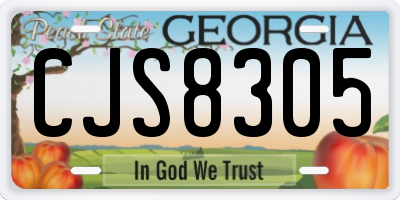 GA license plate CJS8305