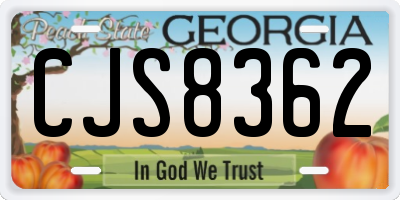 GA license plate CJS8362