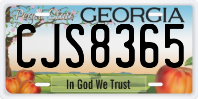 GA license plate CJS8365