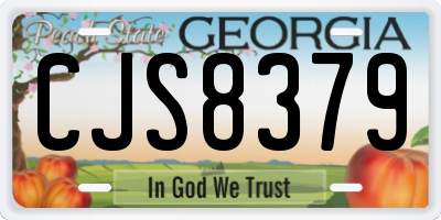 GA license plate CJS8379