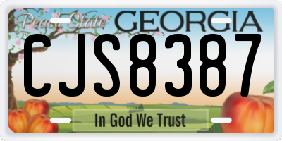 GA license plate CJS8387