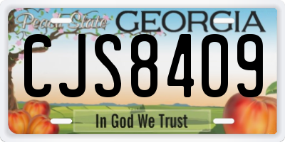 GA license plate CJS8409