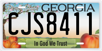 GA license plate CJS8411