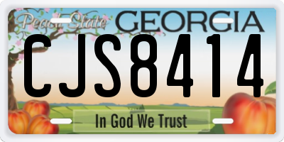 GA license plate CJS8414