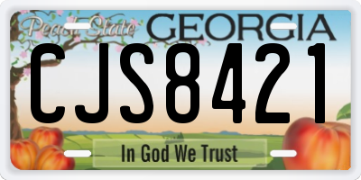 GA license plate CJS8421