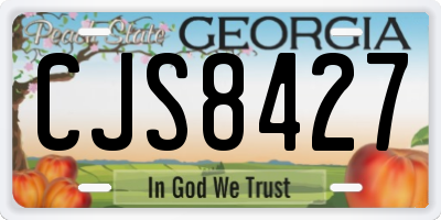 GA license plate CJS8427