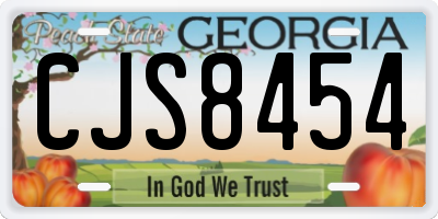 GA license plate CJS8454