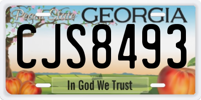 GA license plate CJS8493