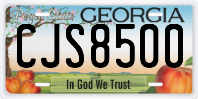 GA license plate CJS8500