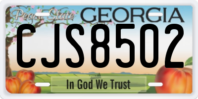 GA license plate CJS8502