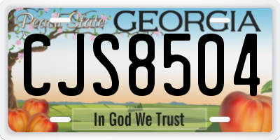 GA license plate CJS8504