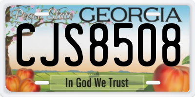 GA license plate CJS8508