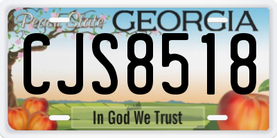 GA license plate CJS8518