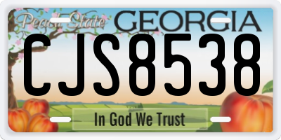 GA license plate CJS8538