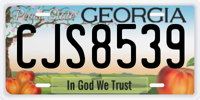 GA license plate CJS8539