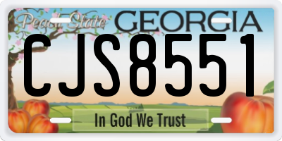GA license plate CJS8551