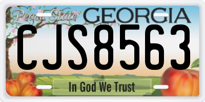 GA license plate CJS8563