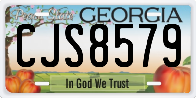 GA license plate CJS8579