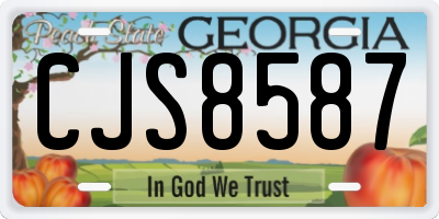 GA license plate CJS8587