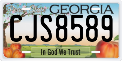 GA license plate CJS8589