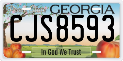 GA license plate CJS8593