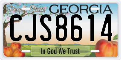 GA license plate CJS8614