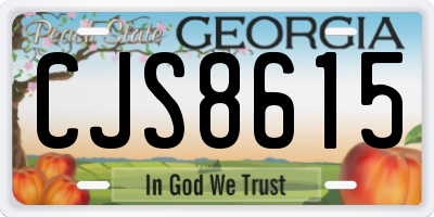 GA license plate CJS8615