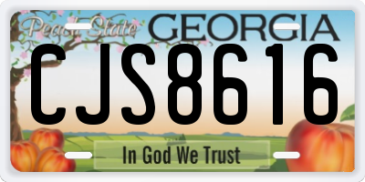 GA license plate CJS8616