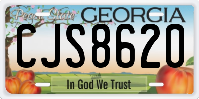 GA license plate CJS8620