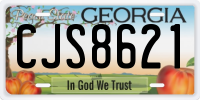 GA license plate CJS8621