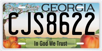 GA license plate CJS8622