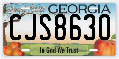 GA license plate CJS8630