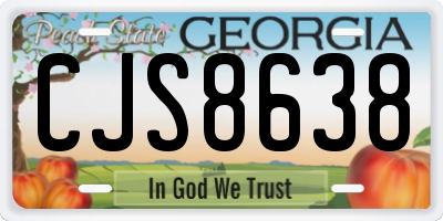 GA license plate CJS8638