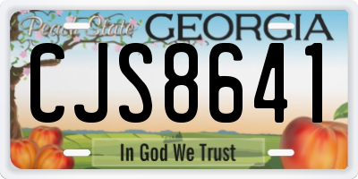 GA license plate CJS8641