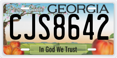 GA license plate CJS8642